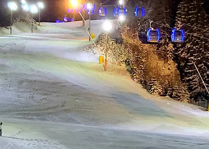 308 In Zlatni Javor - Private Host Apartman *