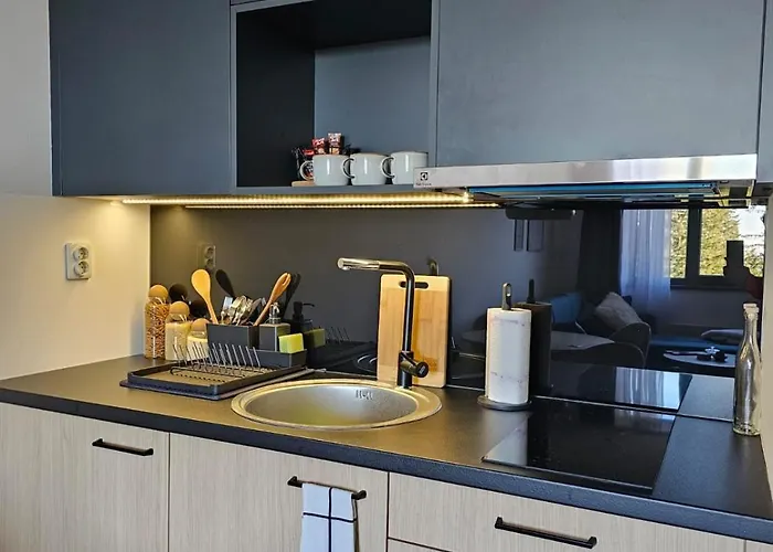 Apartman 308 In Zlatni Javor - Private Host Jahorina