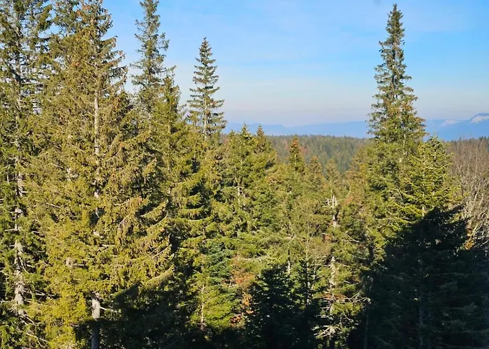 308 In Zlatni Javor - Private Host Jahorina